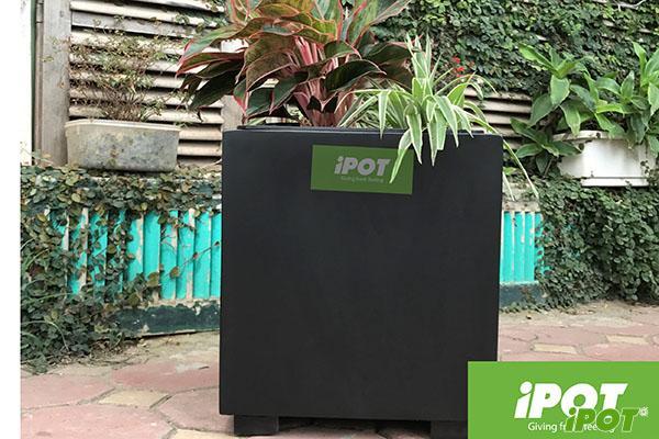 chau-composite-iPOT-Dai-Loi