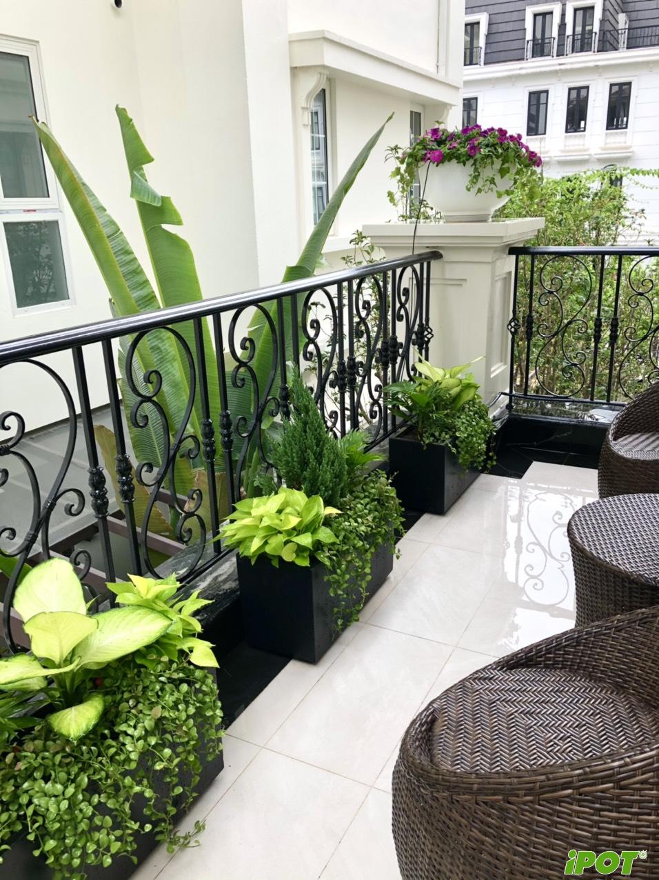 GIẢI MÃ BÀI TOÁN TẢI TRỌNG BAN CÔNG PENTHOUSE: TẠI SAO KIẾN TRÚC SƯ ƯU TIÊN LỰA CHỌN CHẬU COMPOSITE?