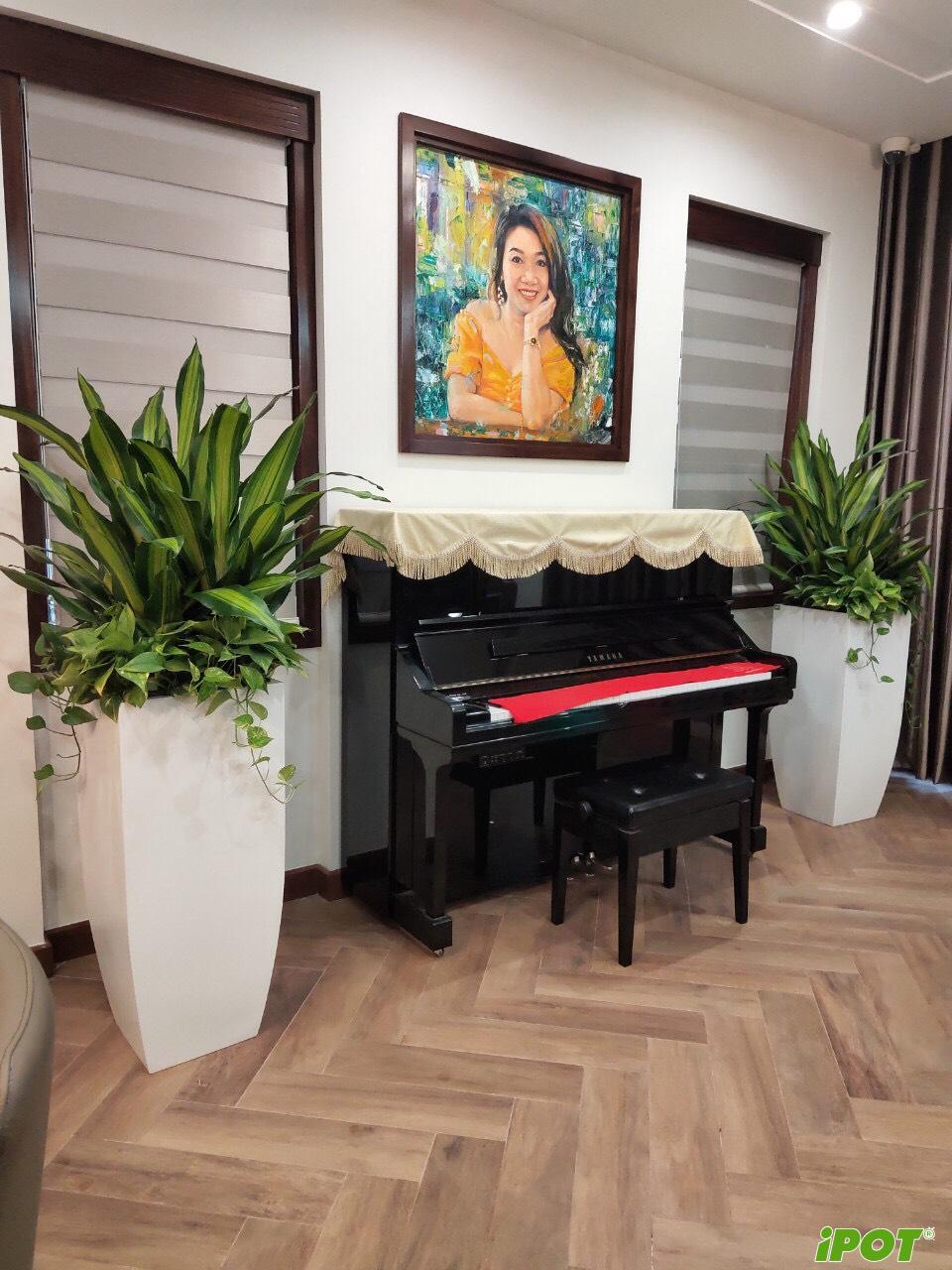 Chậu Composite Có Bền Không? Tuổi Thọ Thực Tế Bao Lâu Trong Không Gian Sống Hiện Đại