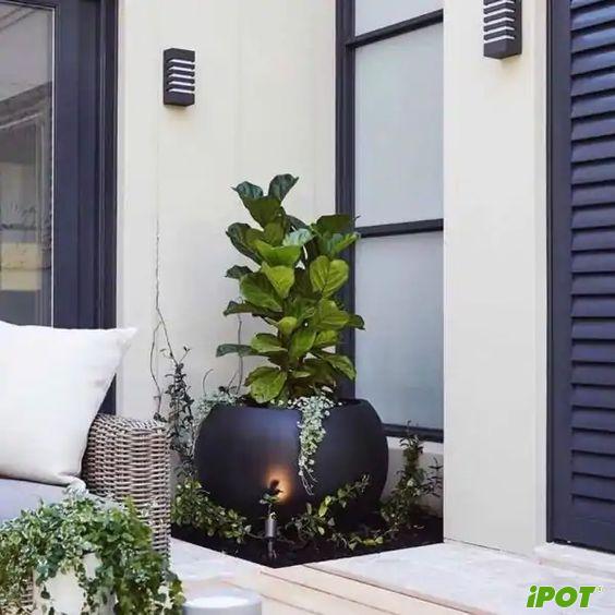 30 Mẫu Chậu Cây Sân Vườn Đẹp Và Hiện Đại 2026