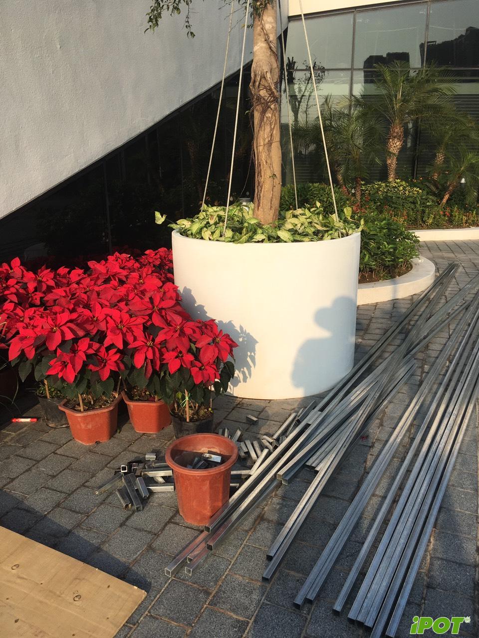 Giải Pháp Chậu Cây Rooftop & Trung Tâm Thương Mại – Tối Ưu Không Gian, Nâng Tầm Trải Nghiệm Khách Hàng