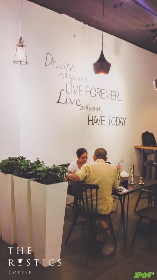 Cách Trang Trí Quán Cafe Bằng Chậu Cây Ấn Tượng – Khi Chậu Composite Trở Thành Điểm Nhấn Không Gian