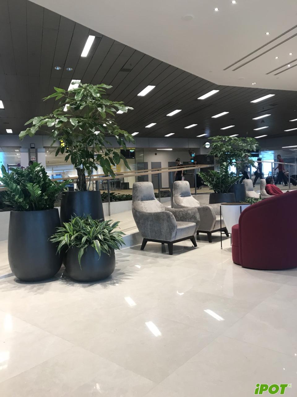 Chậu composite ở trung tâm thương mại