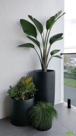 chậu composite iPOT